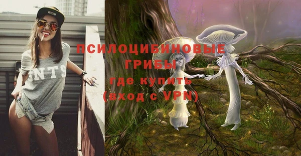 тгк Баксан