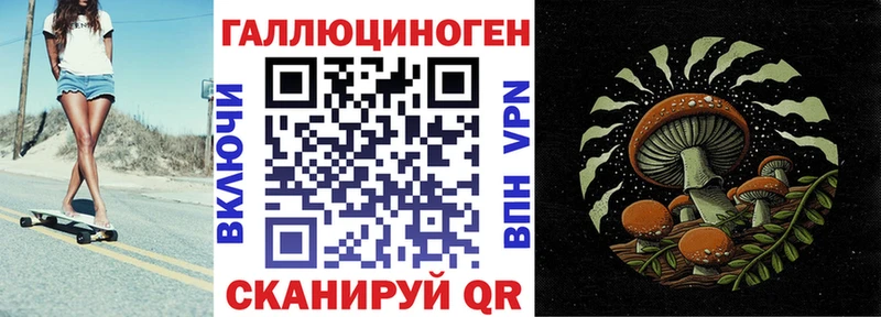 Галлюциногенные грибы Psilocybe  Лесосибирск 